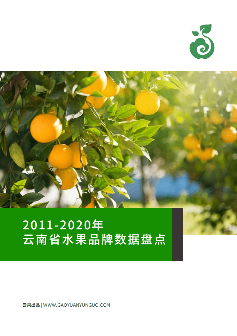 云果：2011-2020年云南省水果品牌数据盘点.pdf 第1页