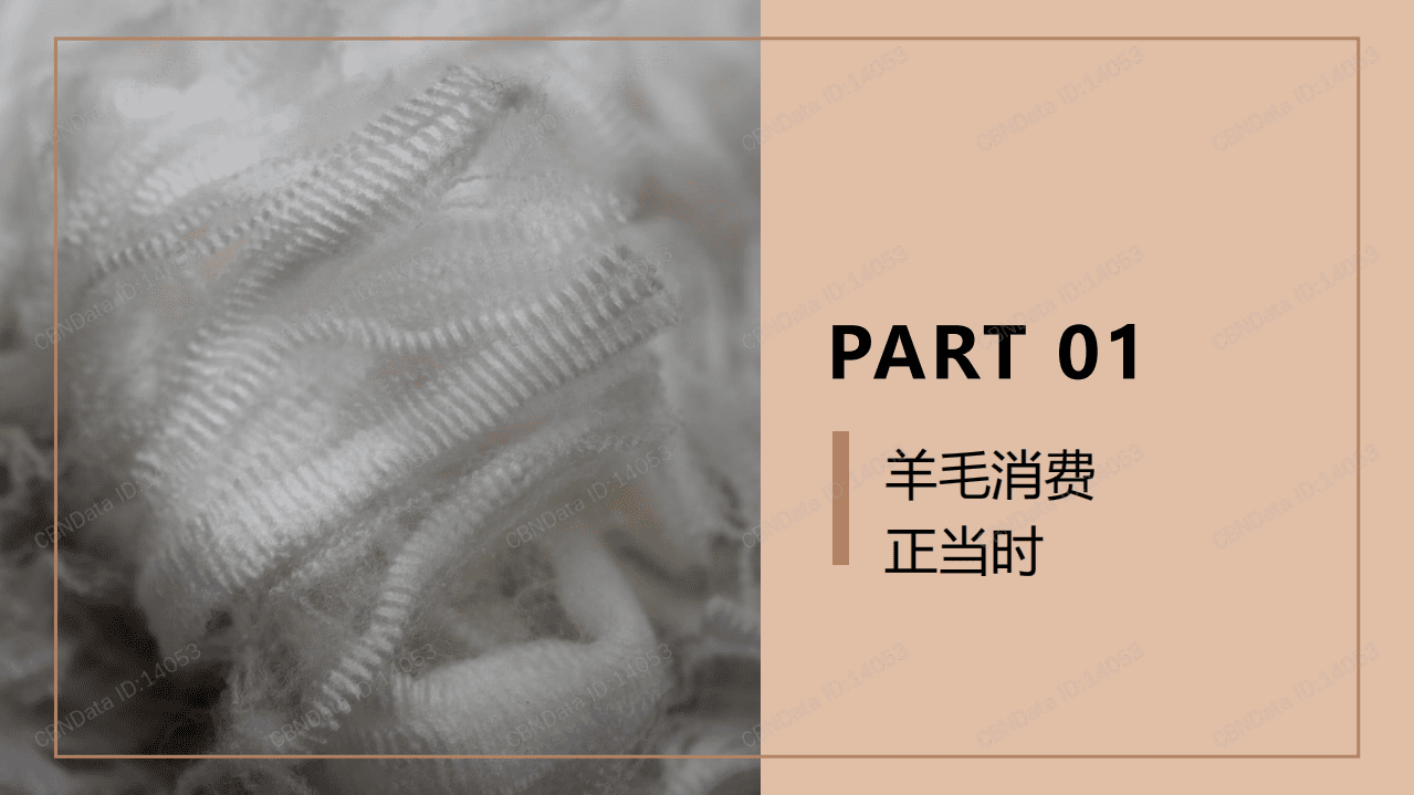 2021羊毛材质消费趋势洞察.pdf 第3页