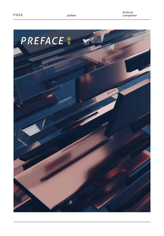 中伦：数字经济下的平台反垄断合规报告.pdf 第6页