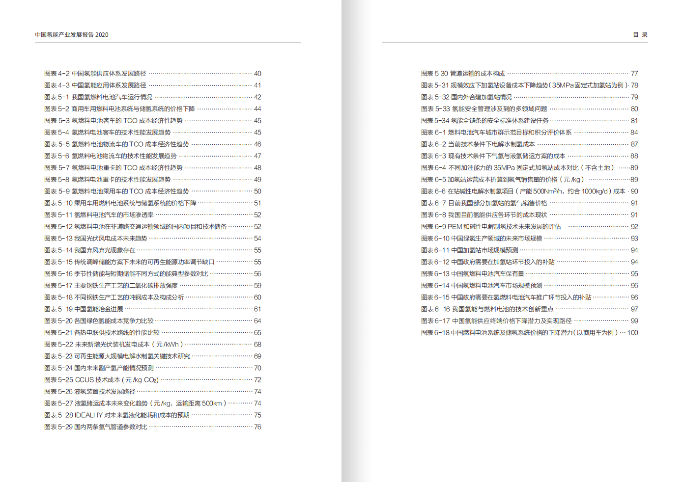 ChinaEV100：2020中国氢能产业发展报告.pdf 第6页