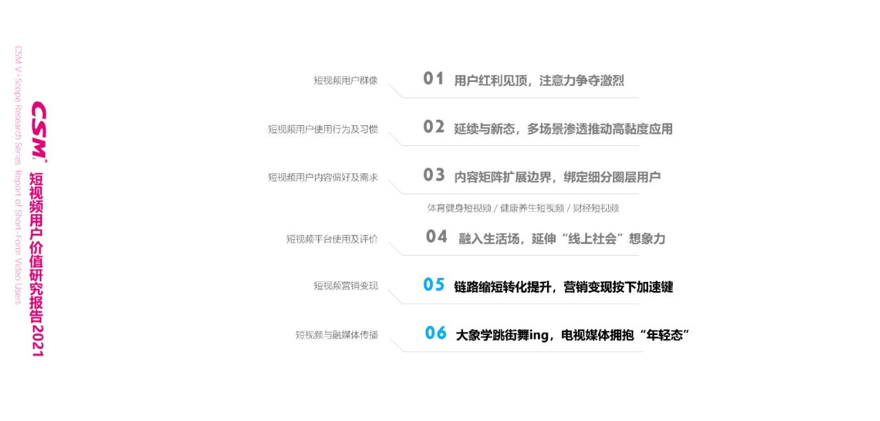 CSM：2021年短视频用户价值研究报告.pdf 第2页