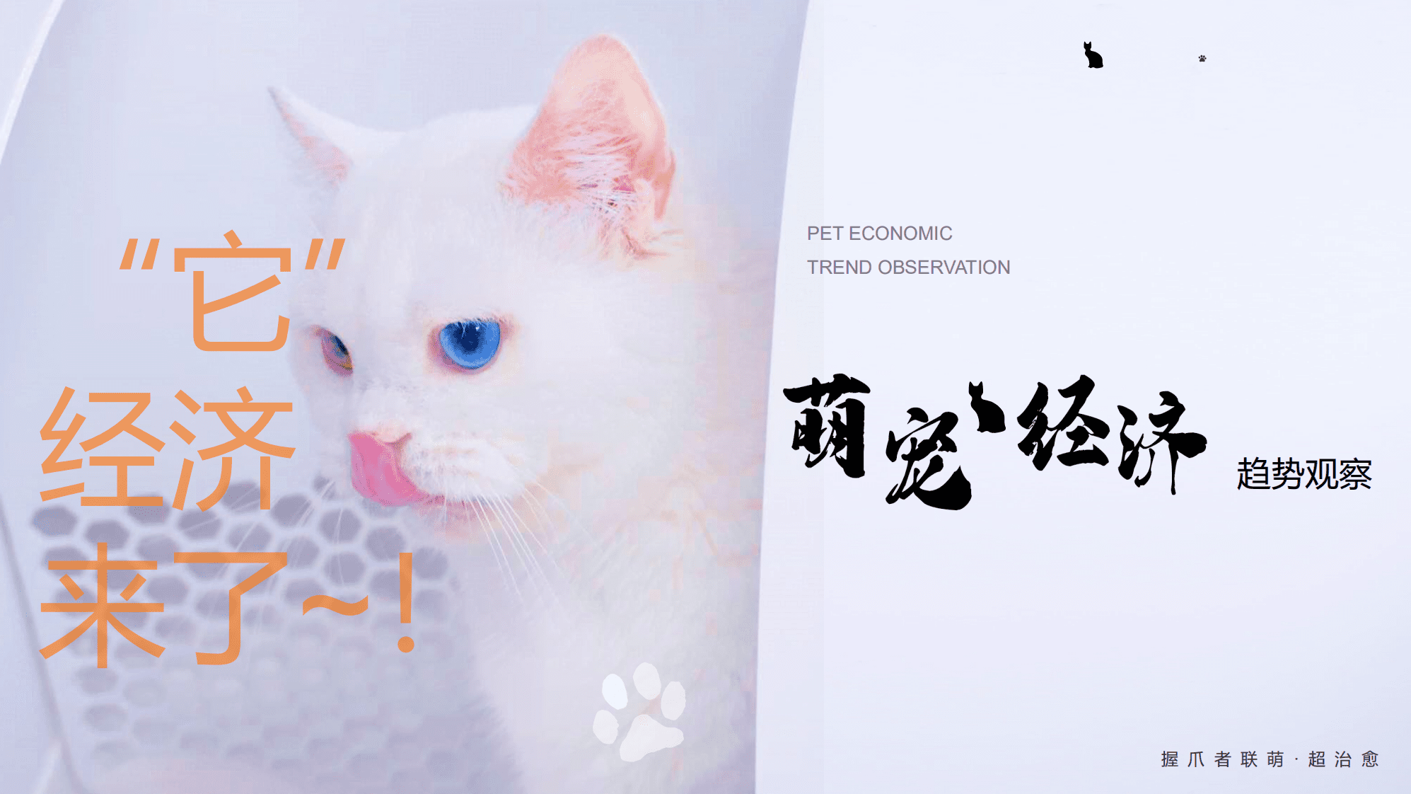 DataStory：吸猫撸狗，送粮上门？——萌宠经济趋势观察.pdf 第1页