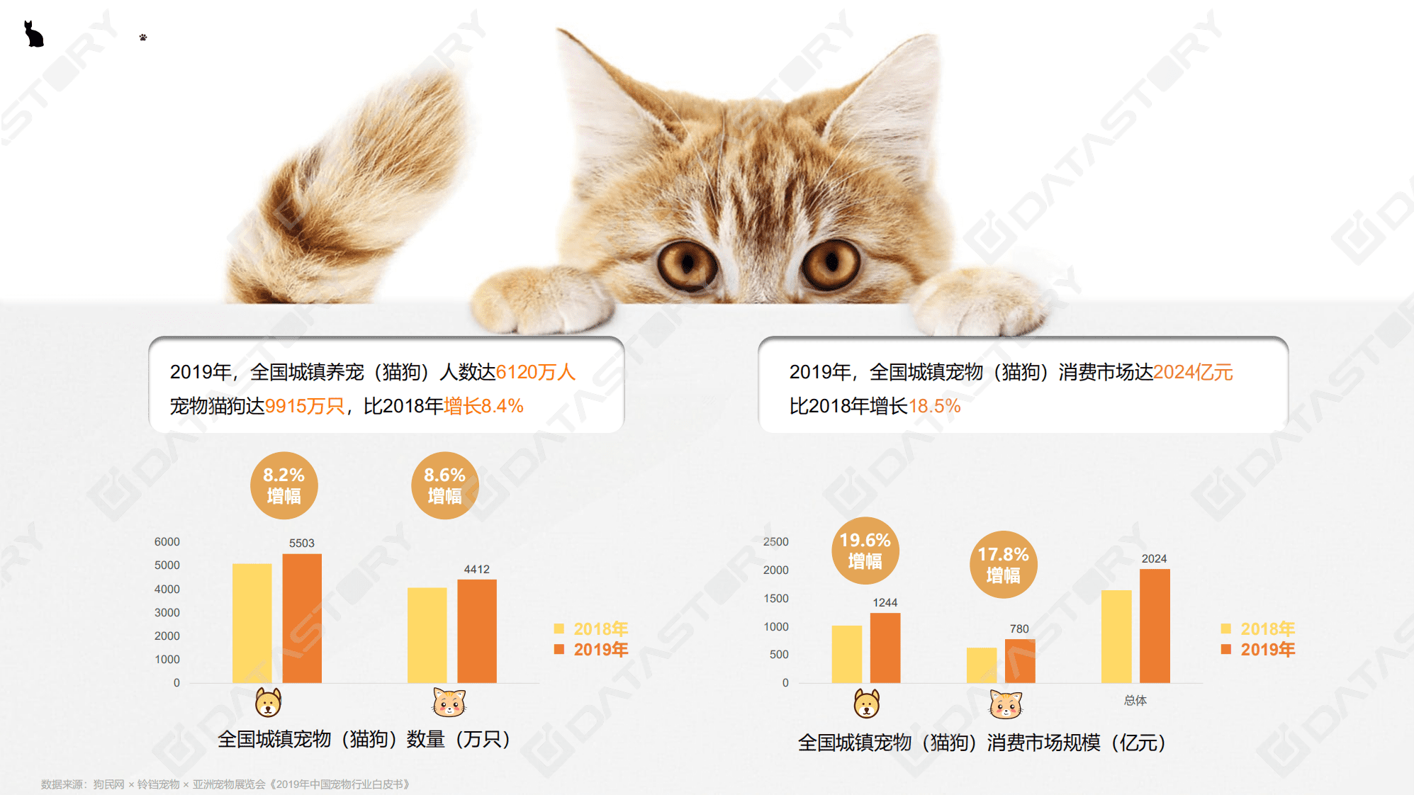 DataStory：吸猫撸狗，送粮上门？——萌宠经济趋势观察.pdf 第4页