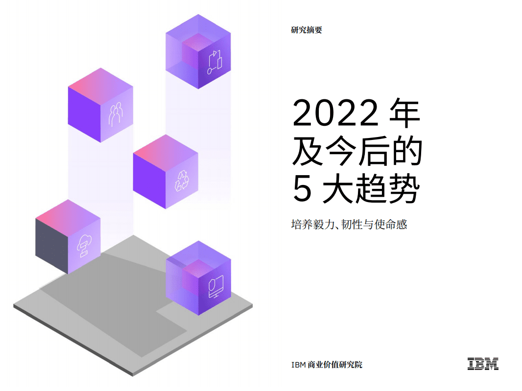 IBM 商业价值研究院：2022年及今后的5大趋势.pdf 第1页