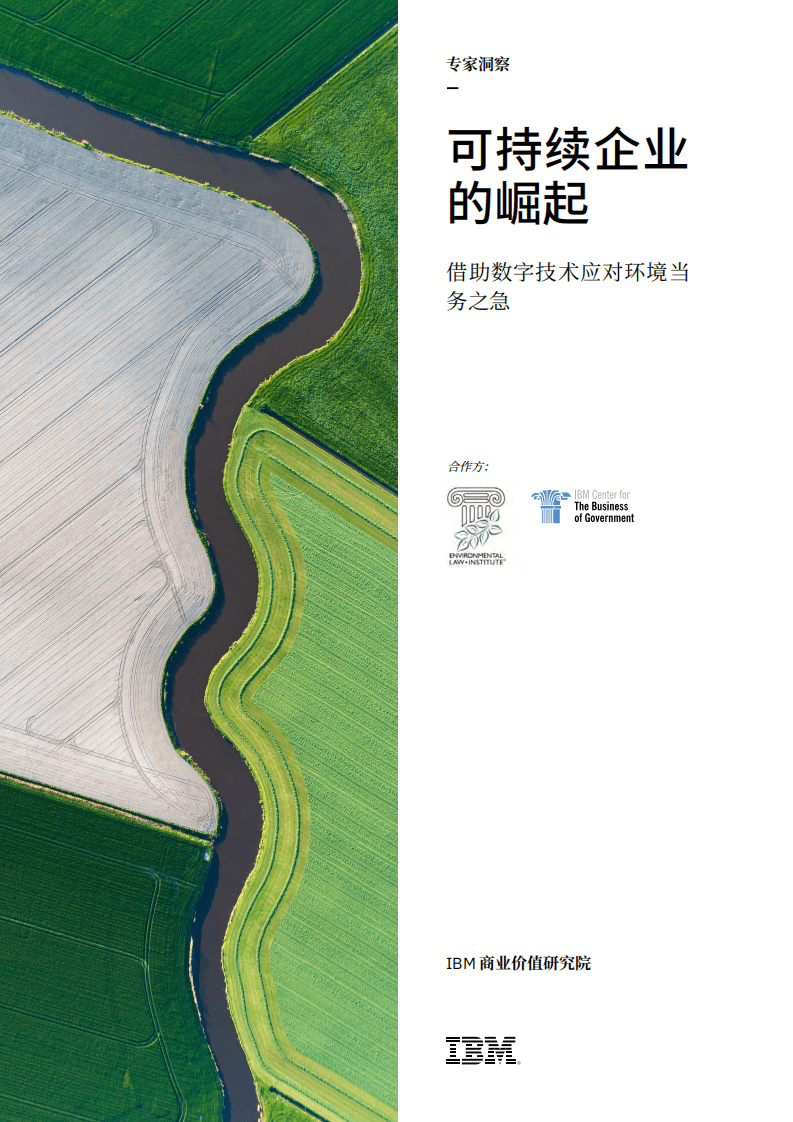 IBM 商业价值研究院：可持续企业的崛起.pdf 第1页