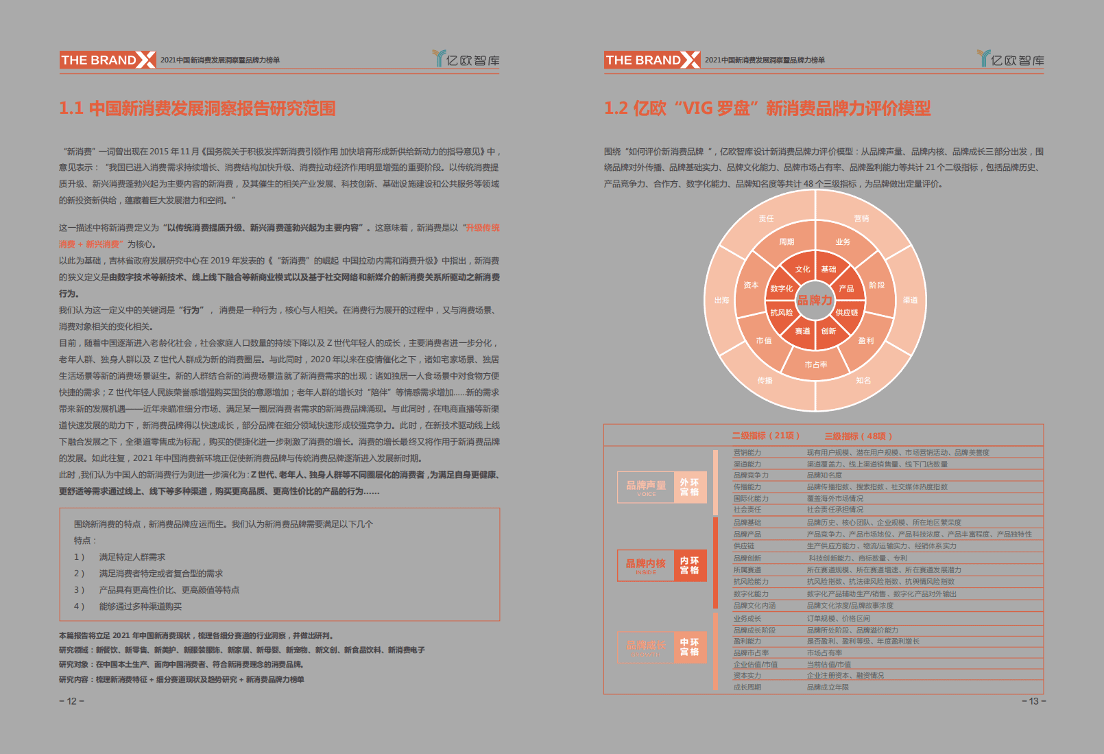 亿欧智库：消费行业2021中国新消费发展洞察：暨品牌力榜单.pdf 第6页