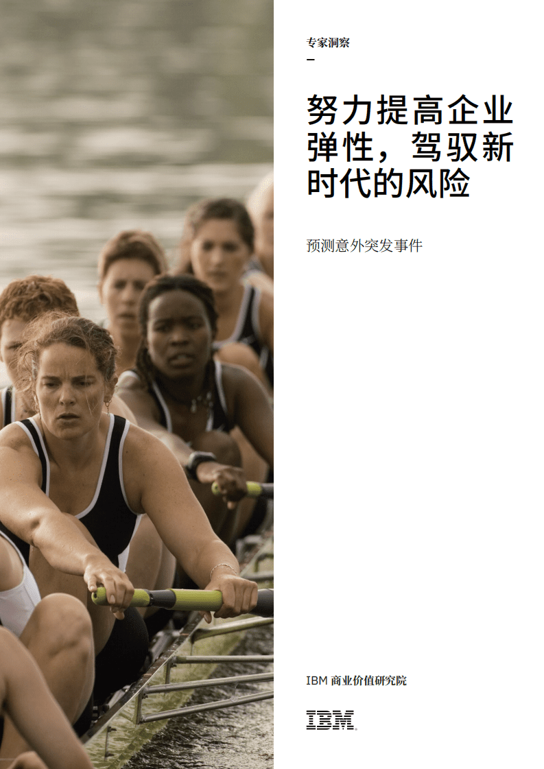 IBM商业价值研究院：努力提高企业弹性，驾驭新时代的风险：预测意外突发事件.pdf 第1页
