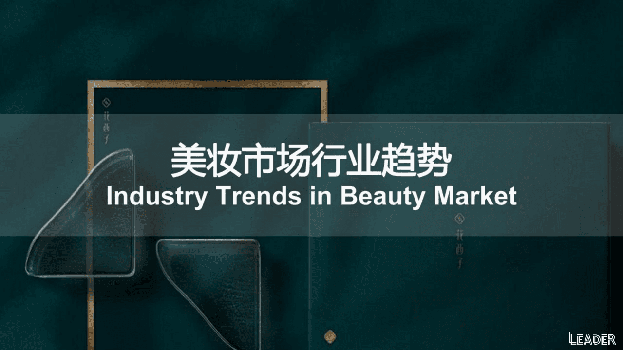 LEADER：2021花西子品牌分析报告.pdf 第2页