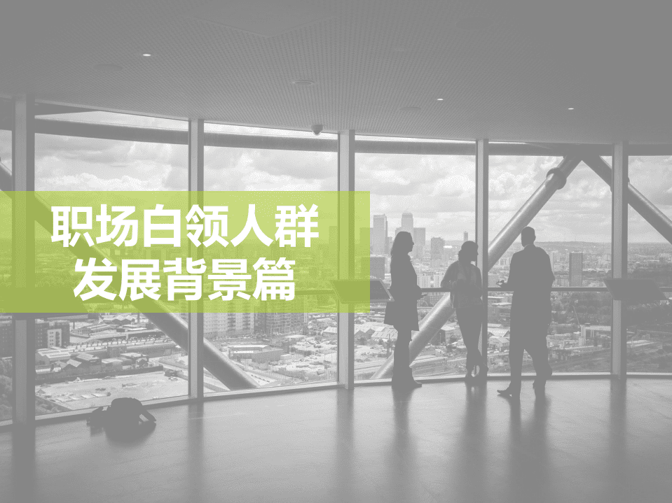 艾瑞咨询：2021年中国白领人群消费及职场社交研究报告.pdf 第4页