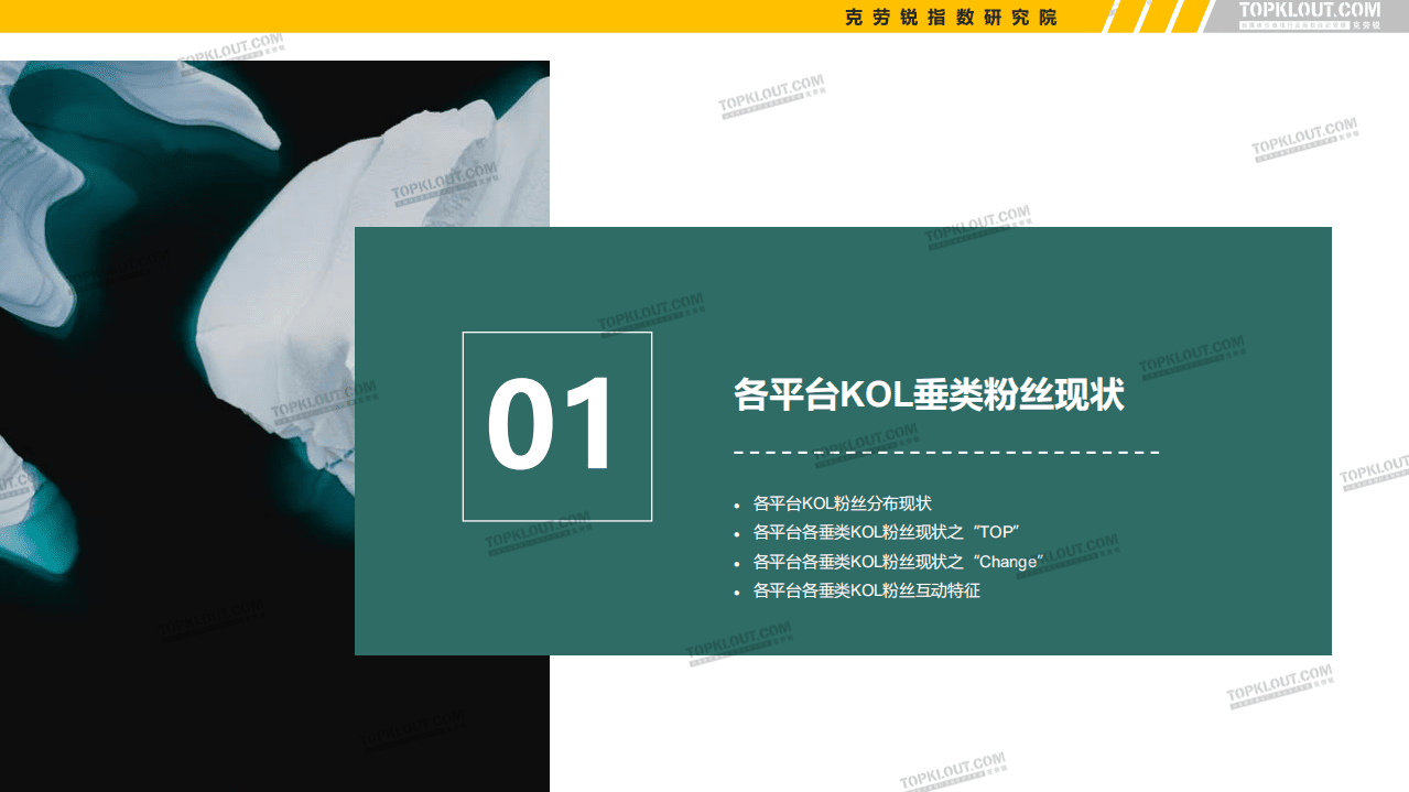 TopKlout克劳锐：2021看得见的粉丝价值——五大平台KOL粉丝分析研究报告.pdf 第5页