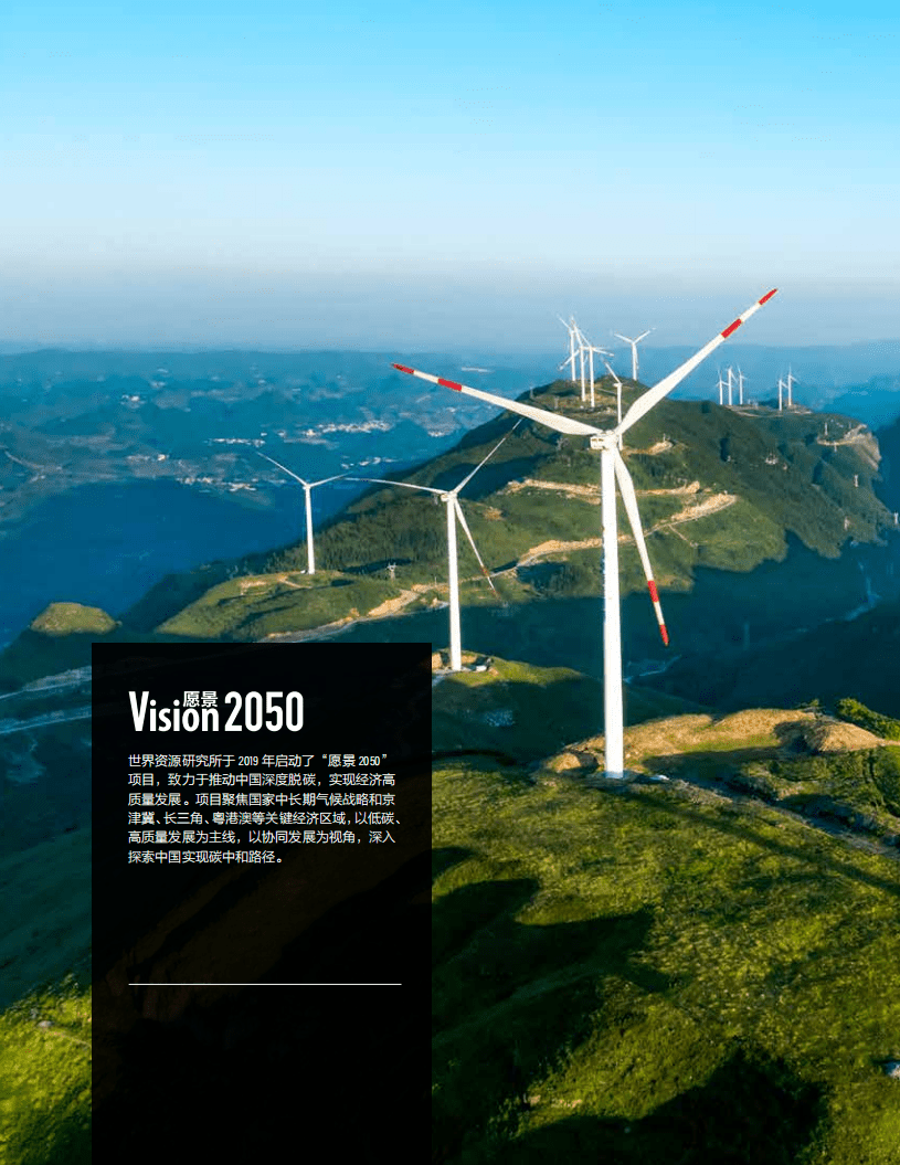 WRI：“十四五”开启中国绿色发展新篇章.pdf 第2页