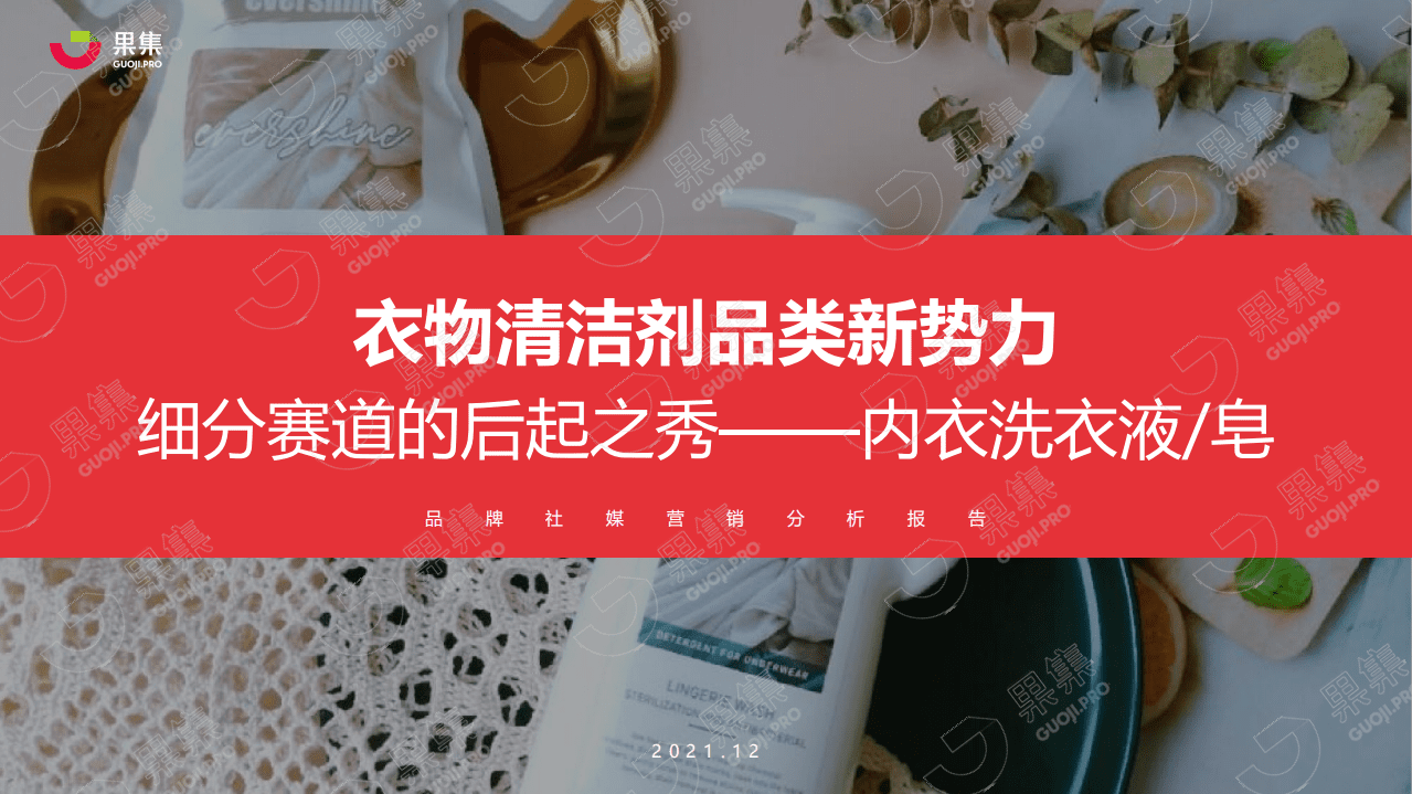 果集数据：2021年内衣洗衣液皂行业社媒营销分析报告.pdf 第1页