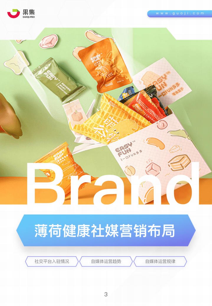 果集：薄荷健康社媒营销分析报告.pdf 第2页