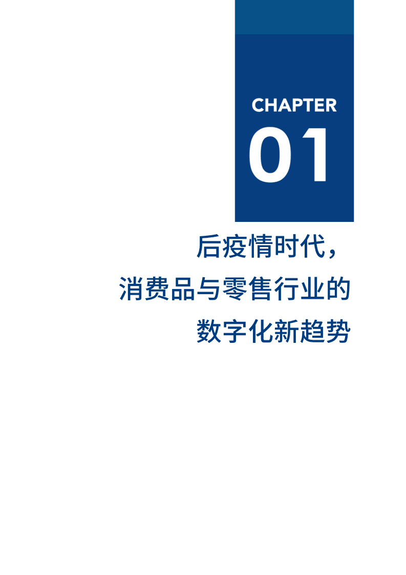 爱分析：2020消费品与零售数字化厂商全景报告.pdf 第5页