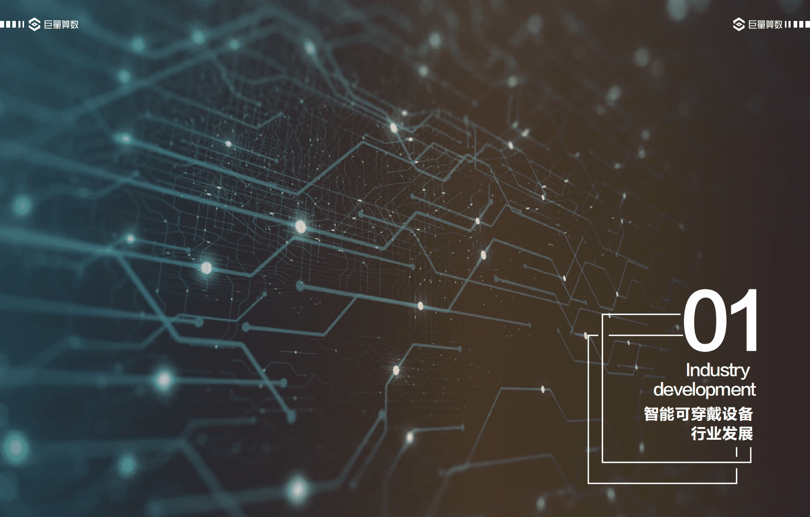 巨量算数：智能穿戴设备行业白皮书：半部暖阳.pdf 第3页