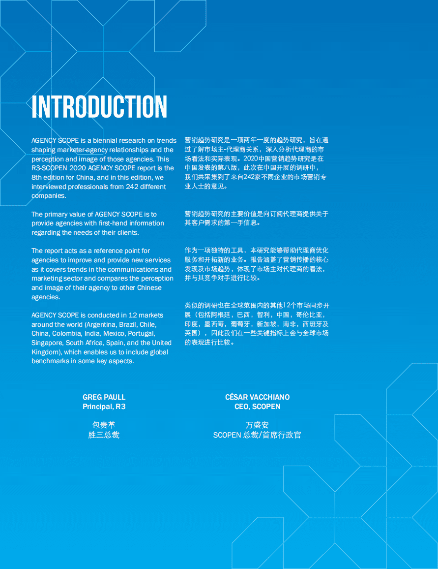 胜三：中国营销趋势研究.pdf 第2页