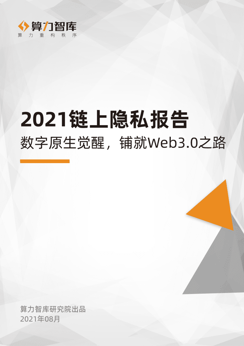 算力智库：2021链上隐私报告.pdf 第1页