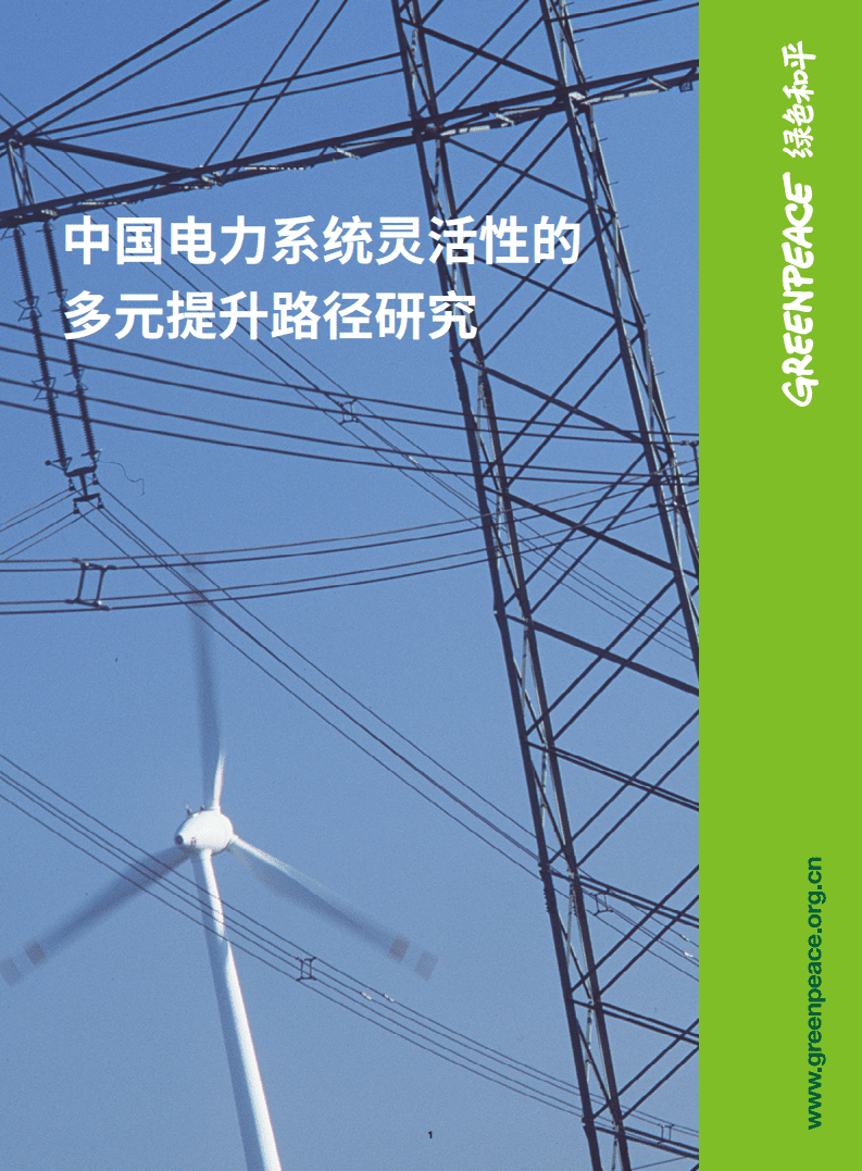 绿色和平：中国电力系统灵活性的多元提升路径研究.pdf 第1页