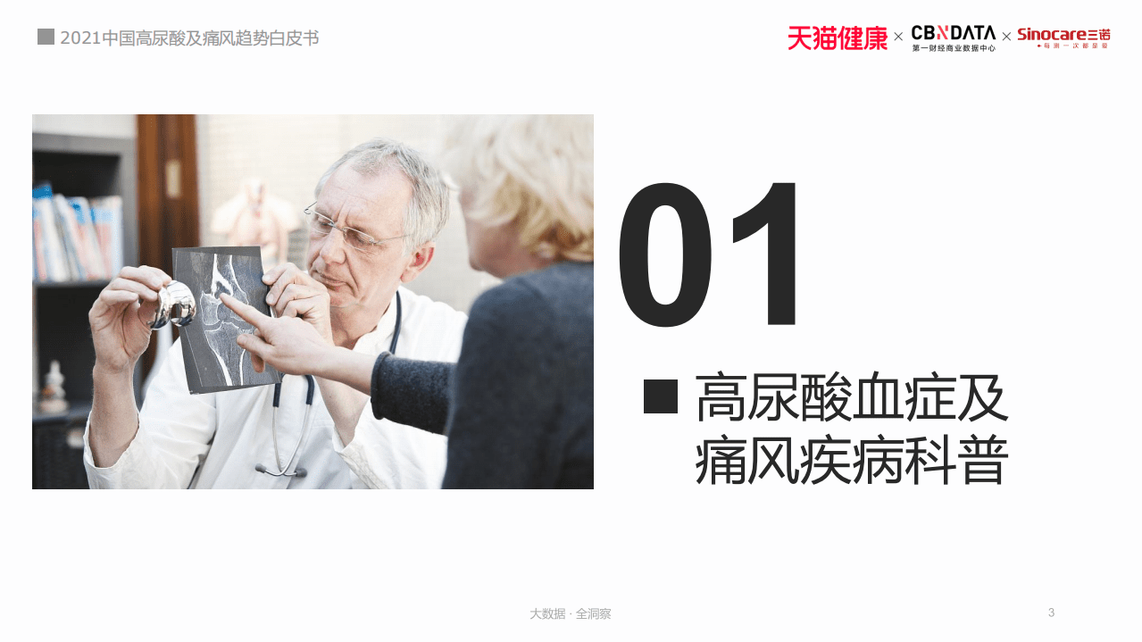 2021高尿酸血症及痛风趋势白皮书.pdf 第3页