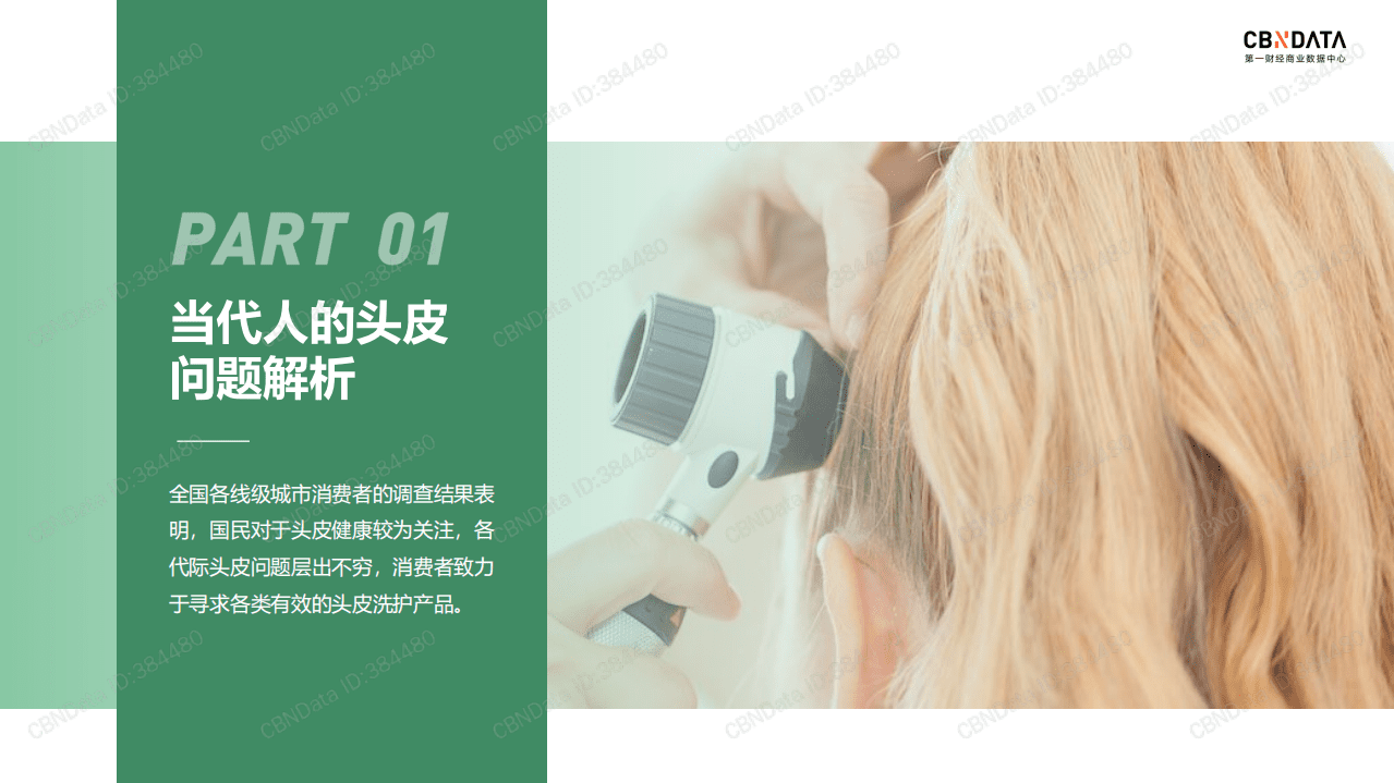 2021国民头皮健康白皮书.pdf 第3页