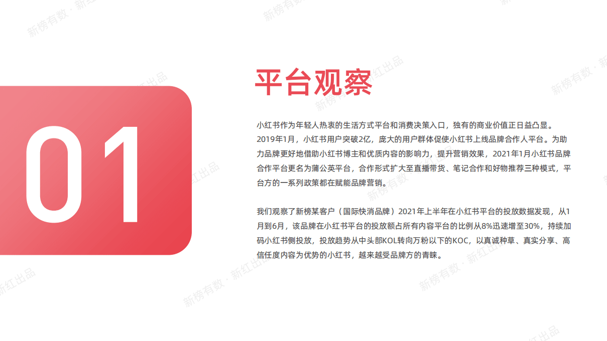 新榜有数：新榜小红书营销洞察报告(2021H1).pdf 第3页