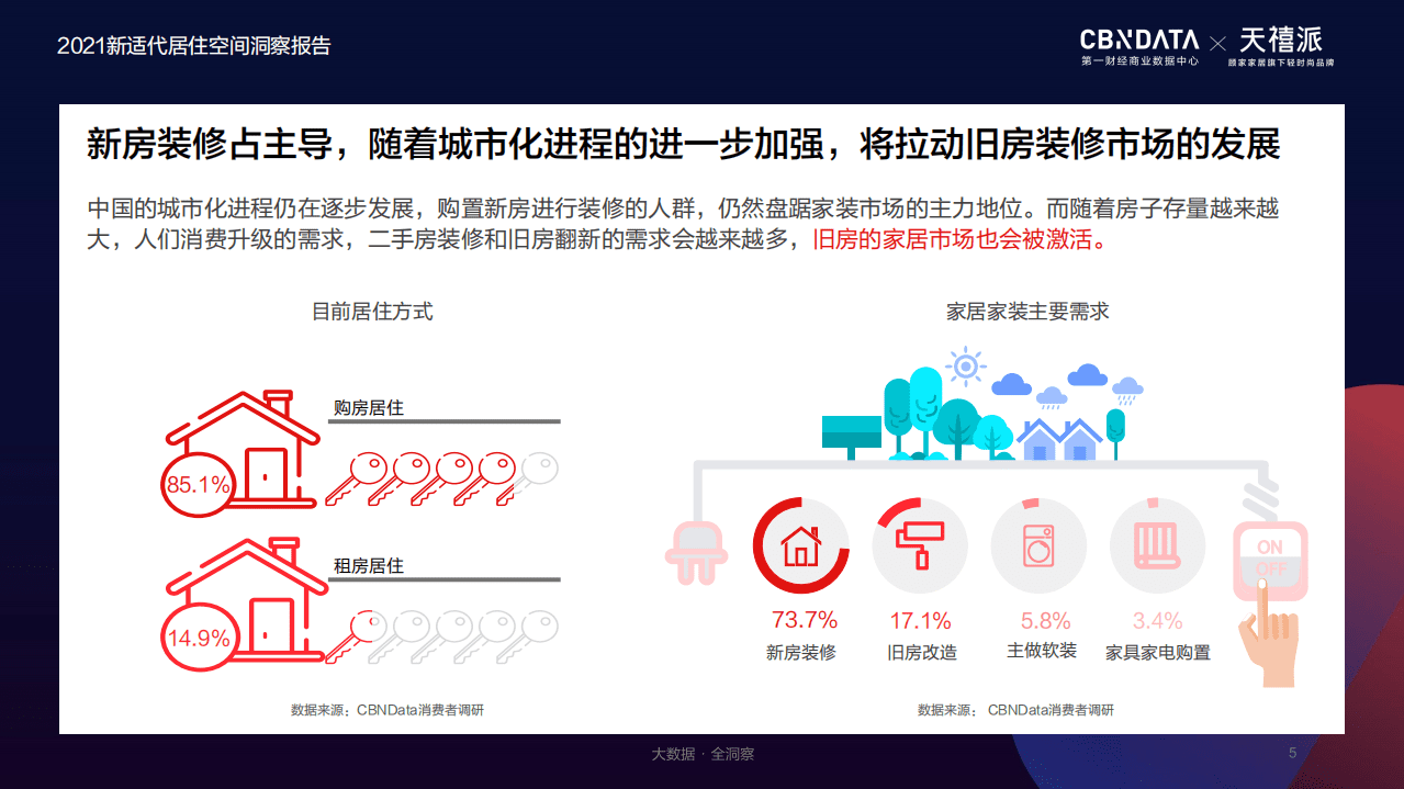 新适代居住空间洞察报告.pdf 第5页