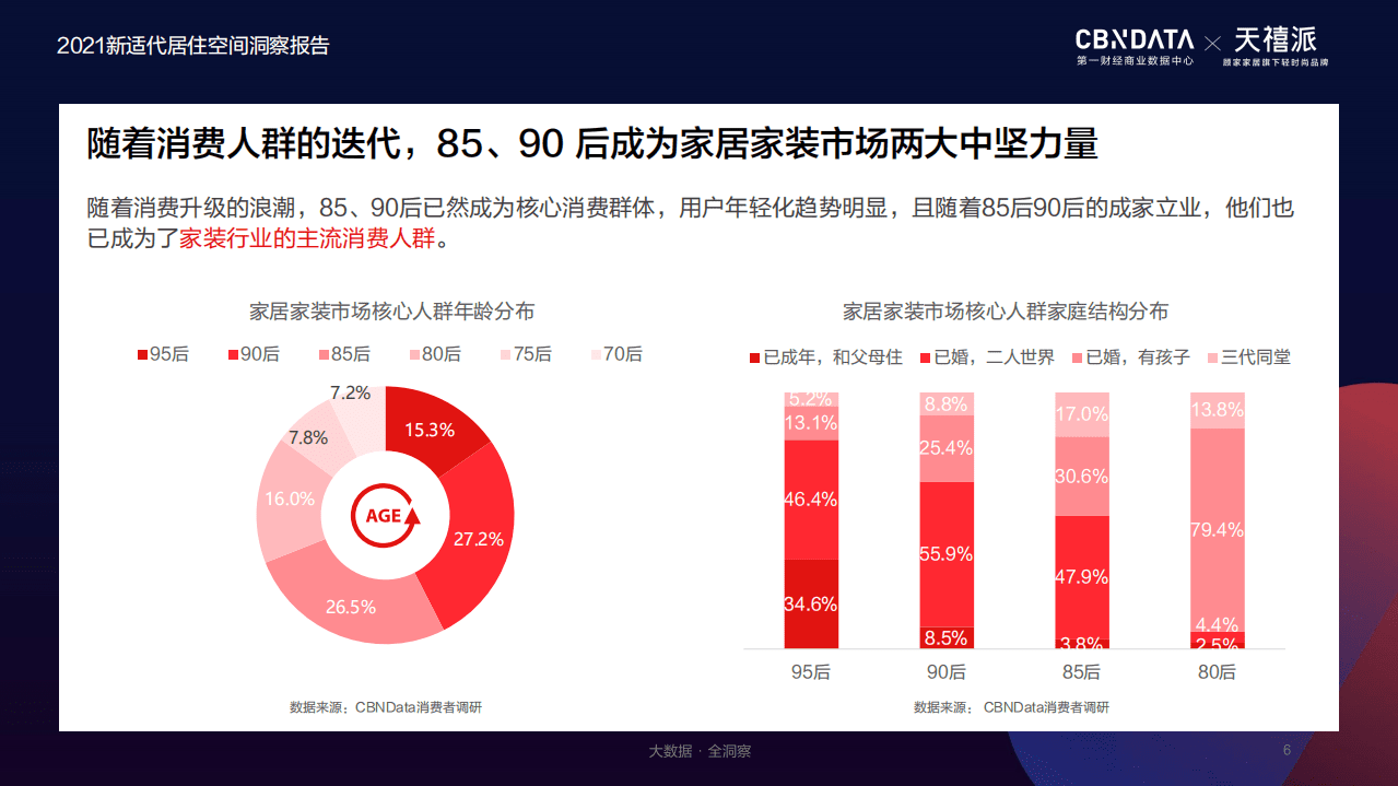 新适代居住空间洞察报告.pdf 第6页
