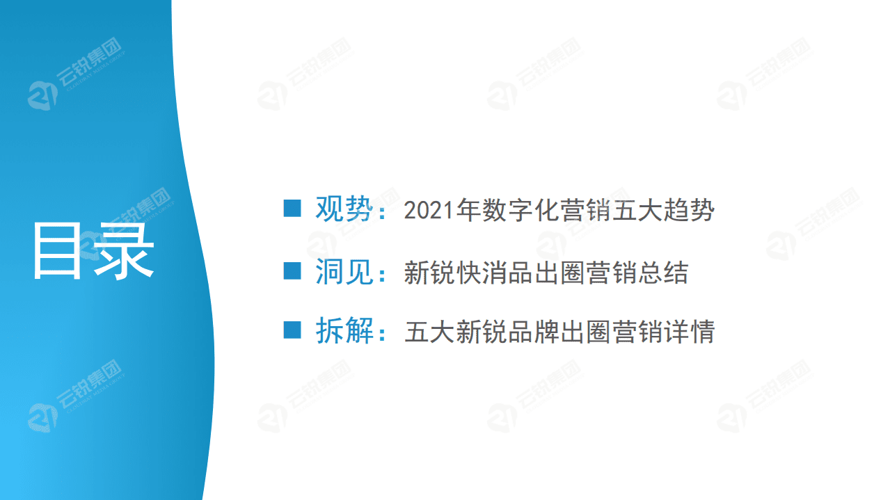 新锐快消品出圈营销分析报告.pdf 第3页