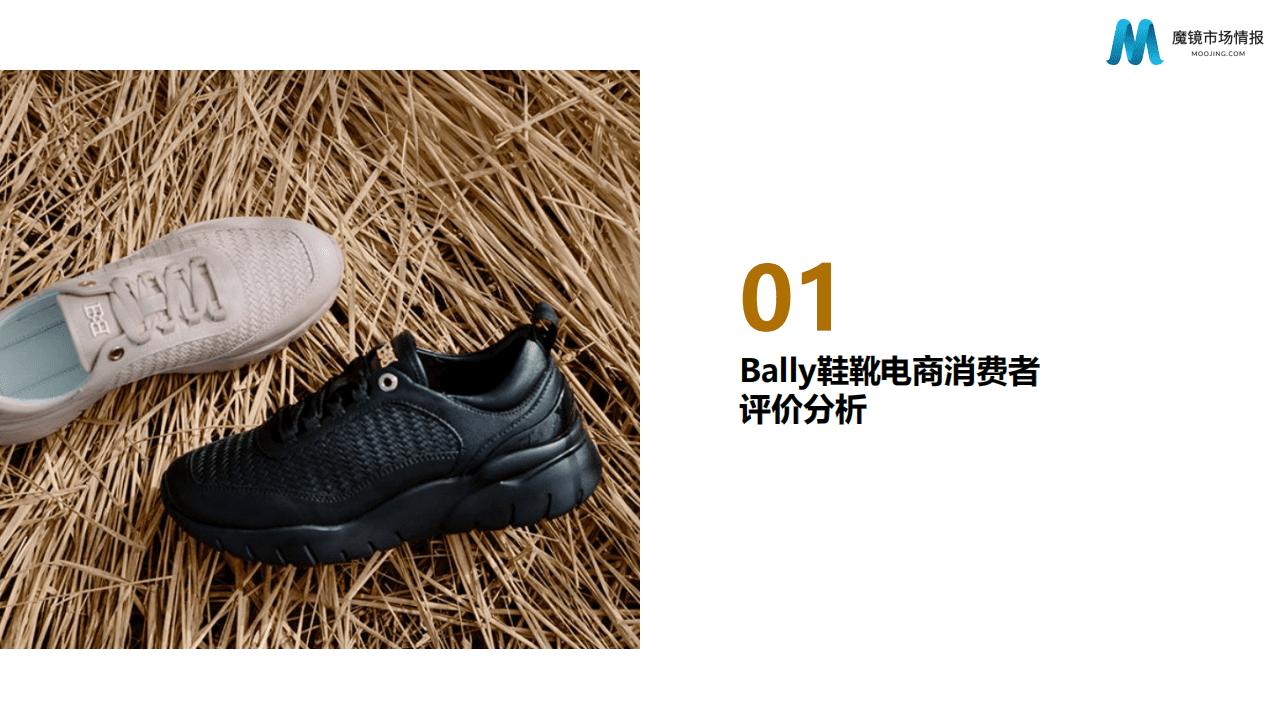 魔镜市场情报：Bally品牌鞋靴舆情分析.pdf 第3页