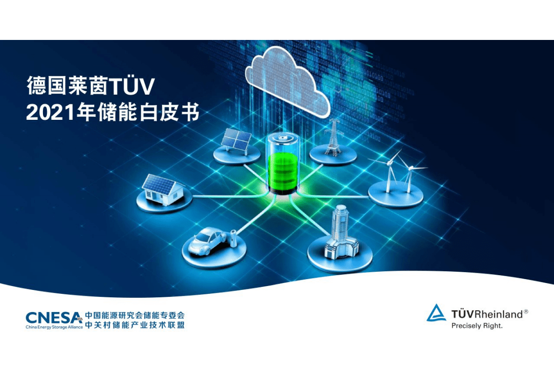 中国能源研究会储能专委会：德国莱茵2021年储能白皮书.pdf 第1页