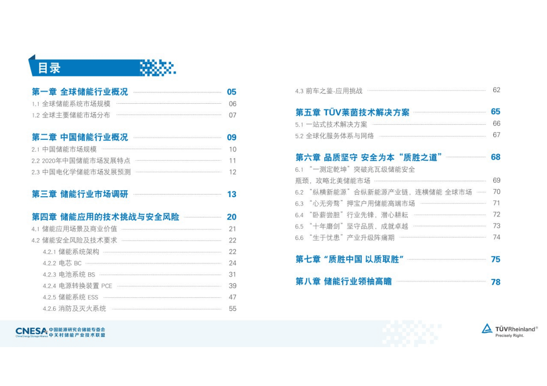中国能源研究会储能专委会：德国莱茵2021年储能白皮书.pdf 第4页