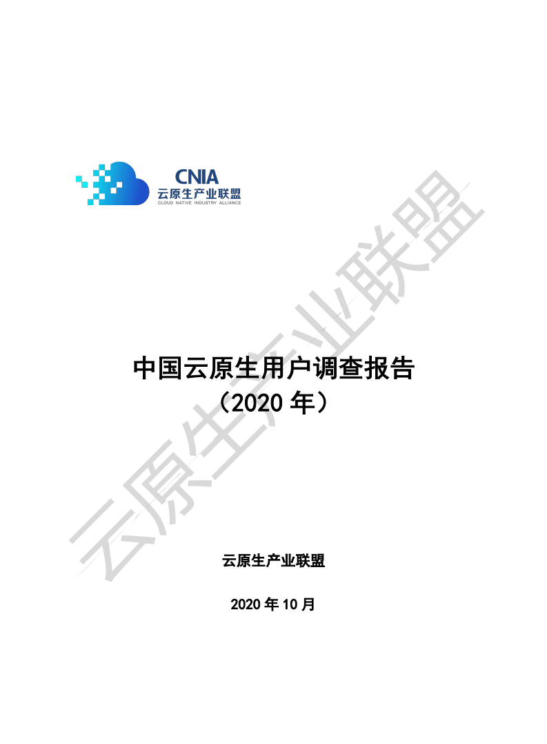中国信通院：中国云原生用户调研报告（2020年）.pdf 第1页