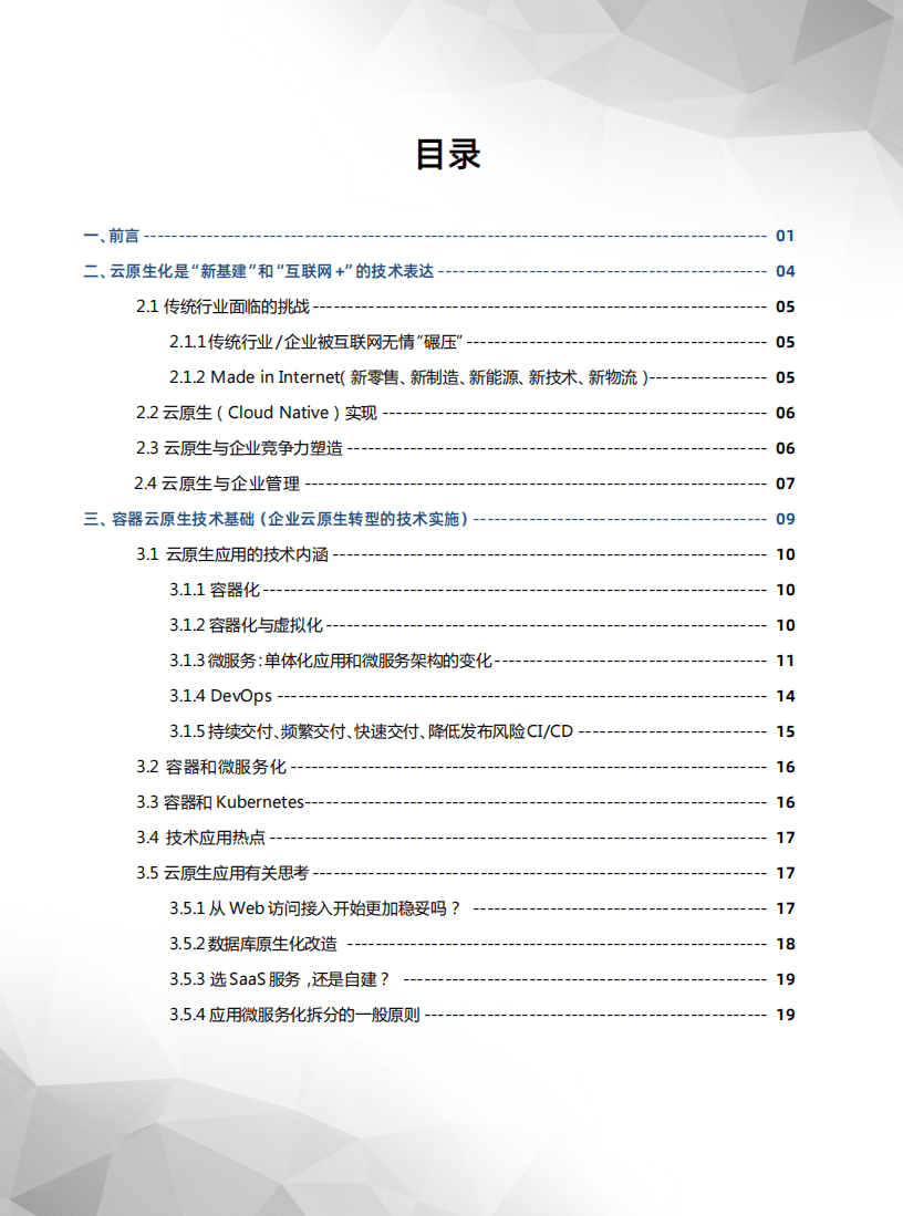 DOIT：2020行业云原生应用白皮书.pdf 第5页
