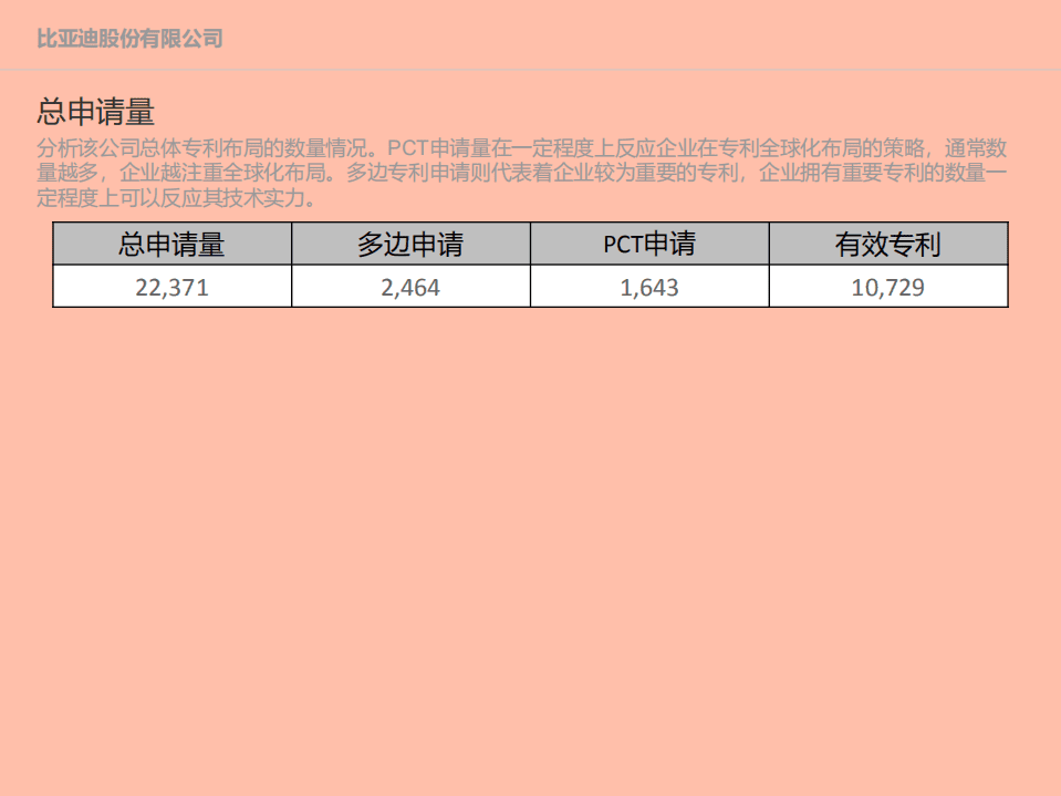 patsnap：比亚迪公司创新力分析报告.pdf 第4页