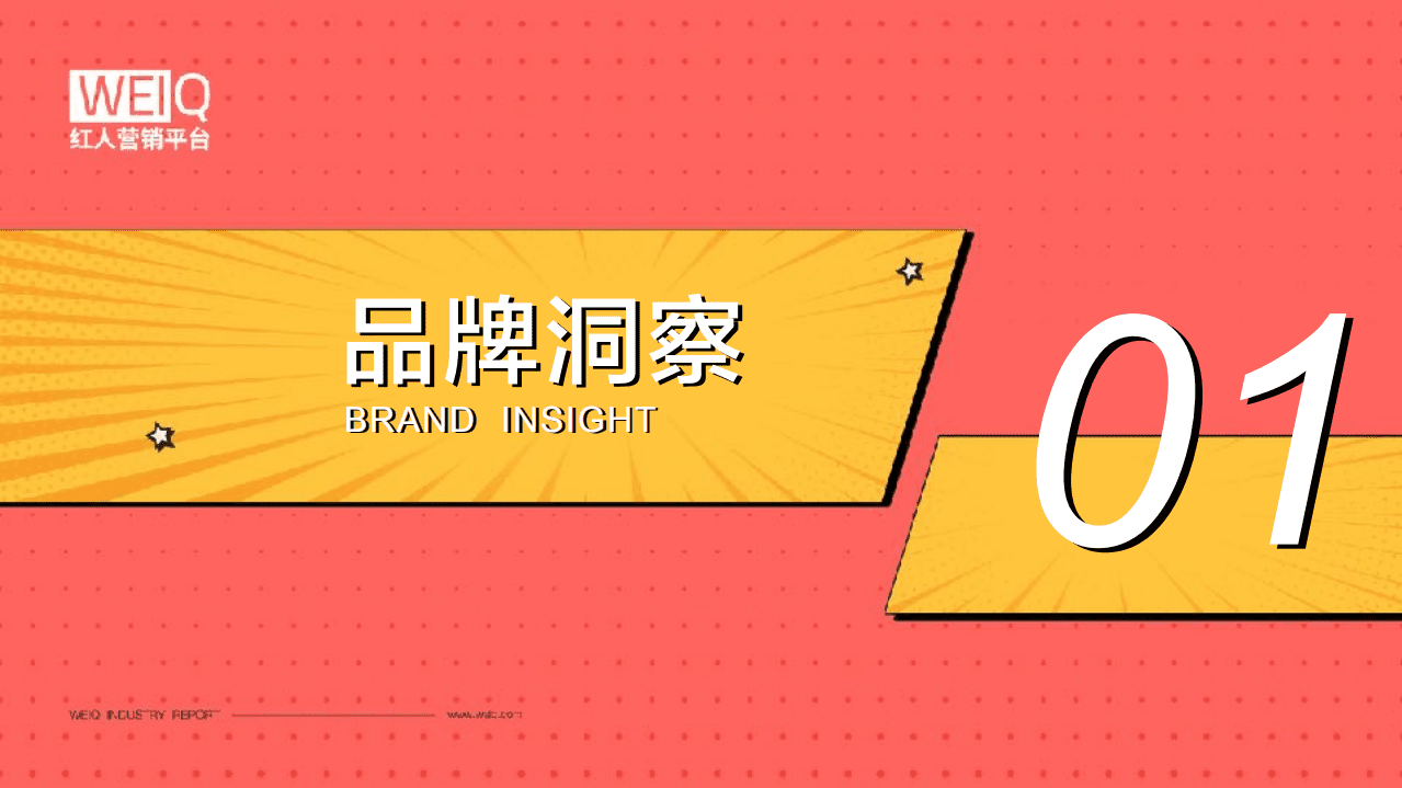 WEIQ红人营销平台：加点滋味—如何在巨头林立的调味品界破局出圈.pdf 第5页