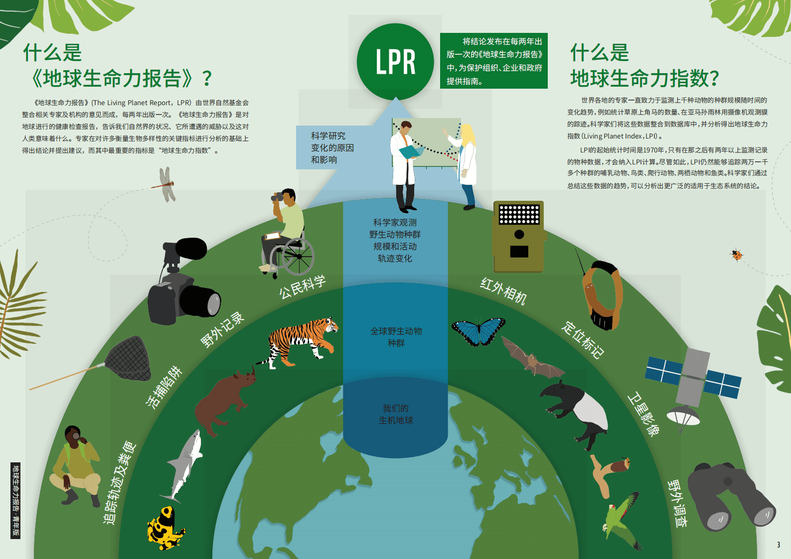 WWF：地球生命力报告2020 青年版.pdf 第2页