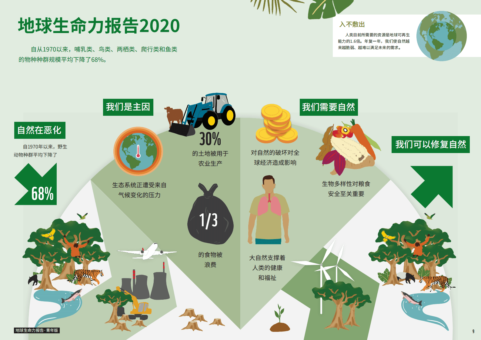 WWF：地球生命力报告2020 青年版.pdf 第5页