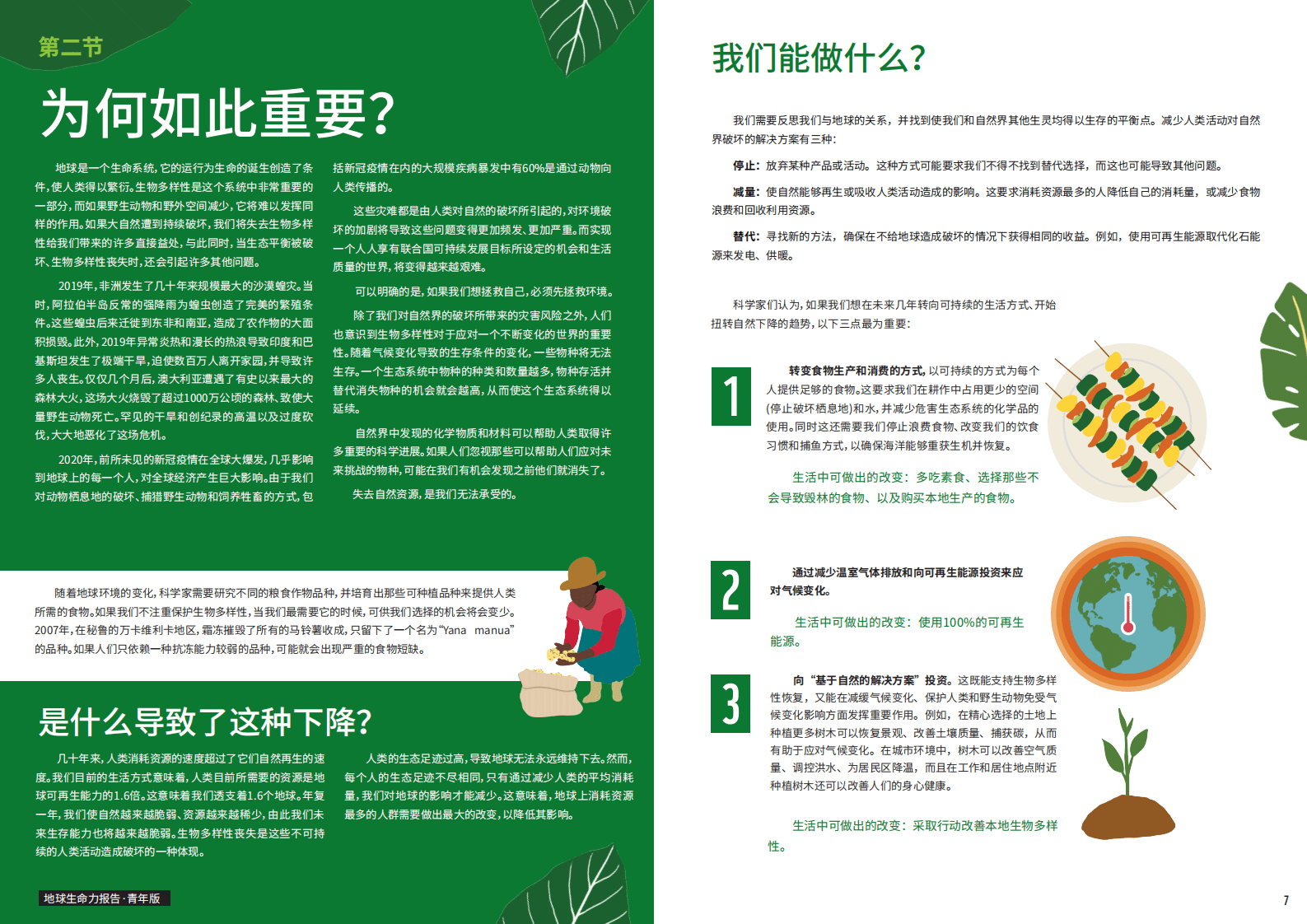 WWF：地球生命力报告2020 青年版.pdf 第4页