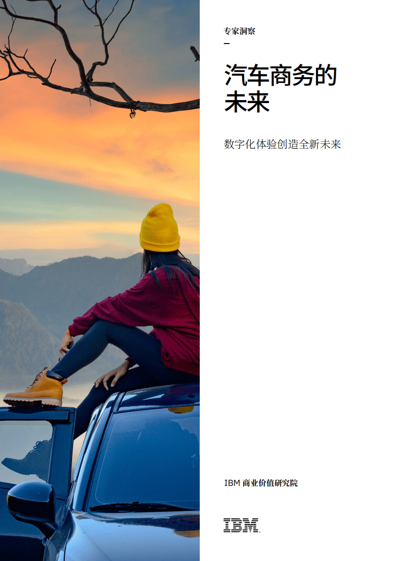 IBM商业价值研究院：数字化体验创造全新未来、汽车商务的未来.pdf 第1页