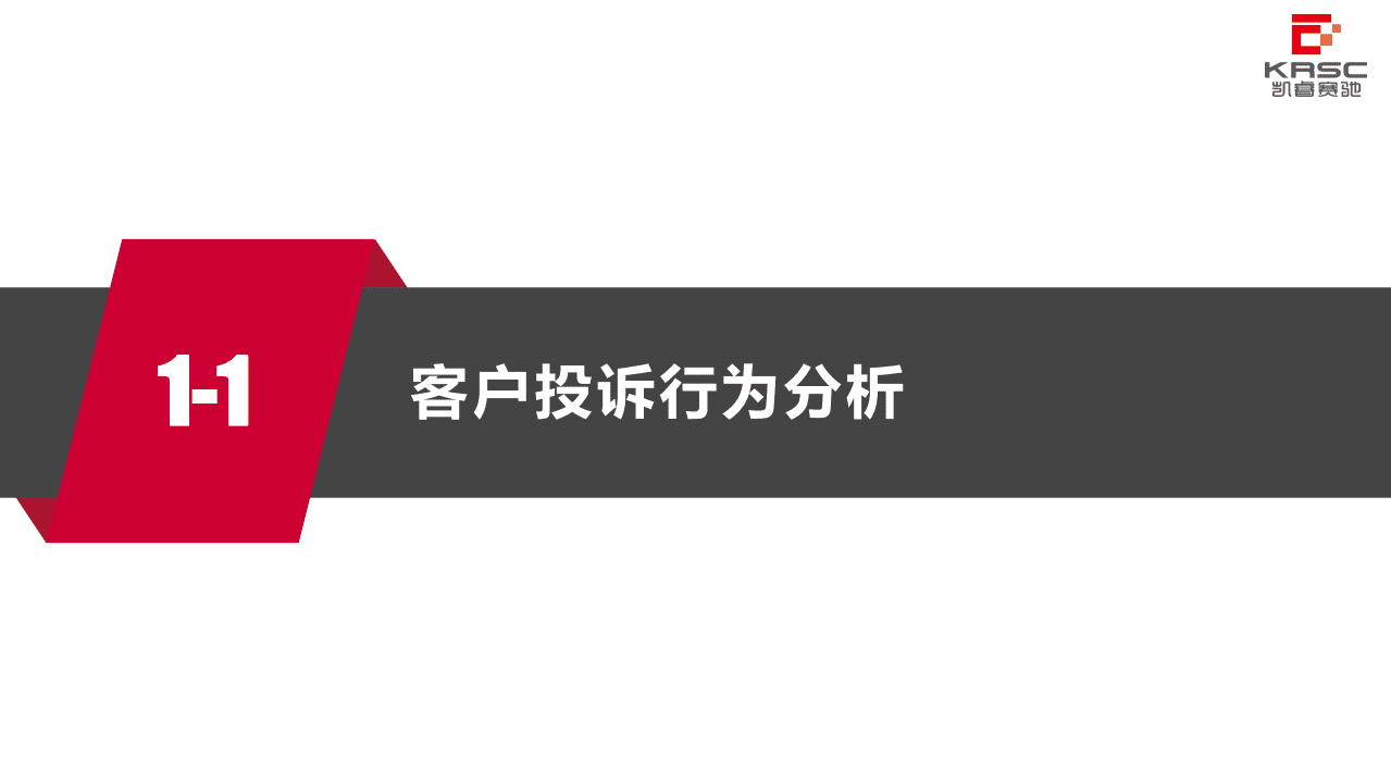 KRSC：2020年中国乘用车客户投诉行为研究.pdf 第5页
