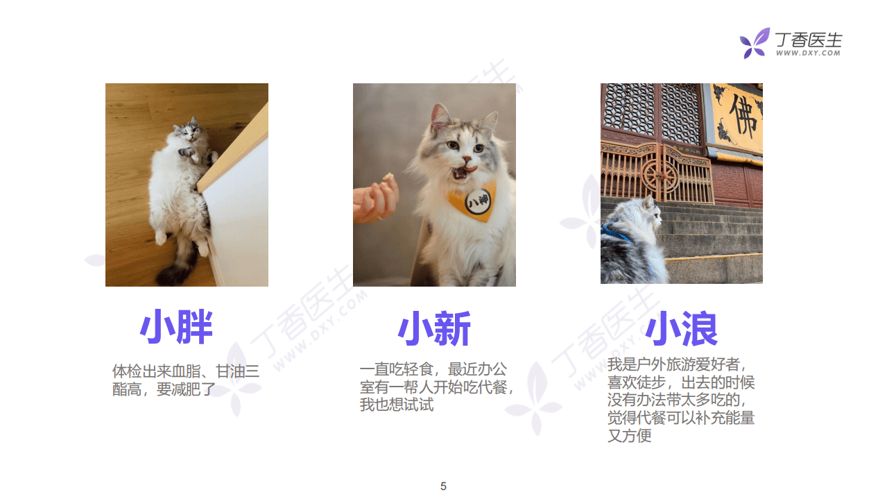 丁香数据研究院：代餐行业营销洞察报告.pdf 第5页