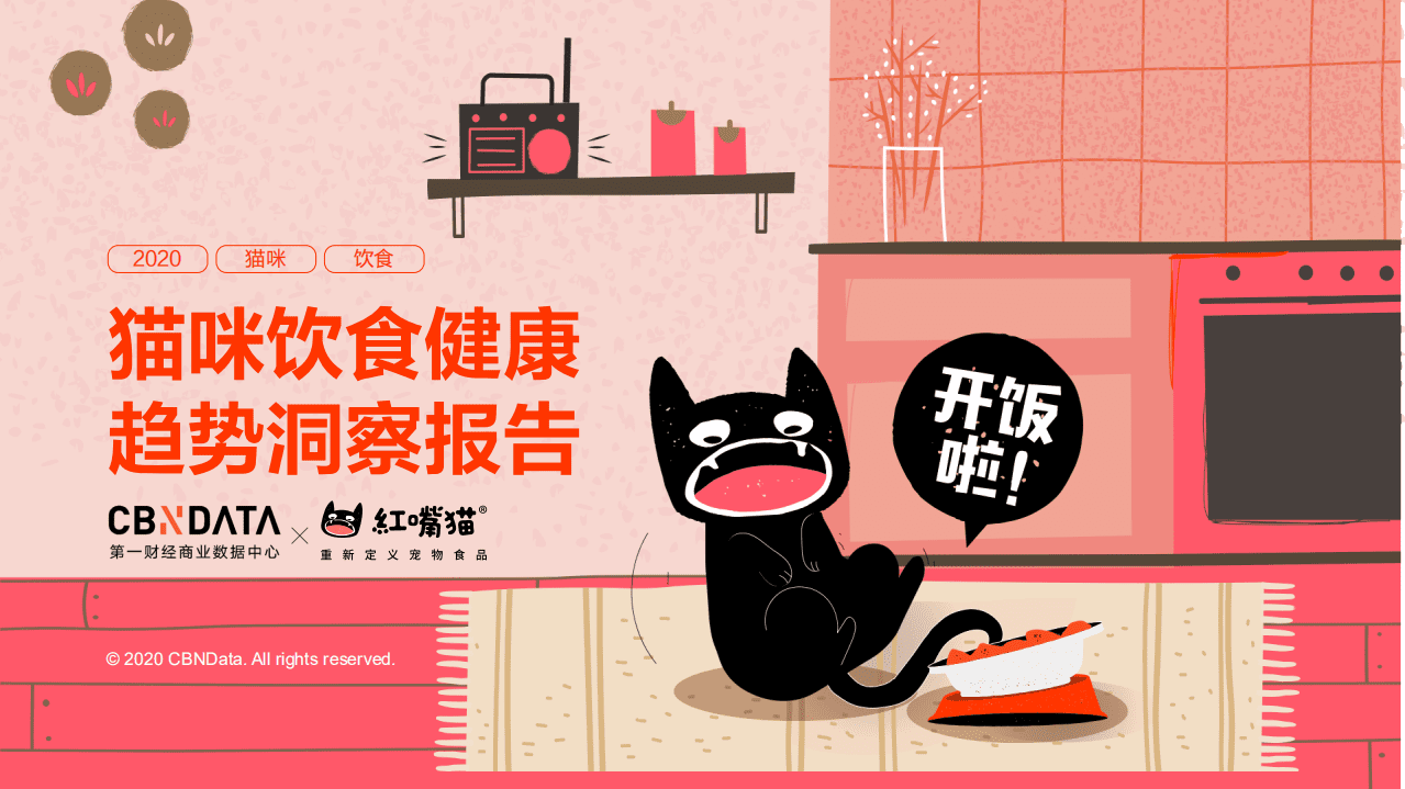 猫咪饮食健康趋势洞察报告.pdf 第1页