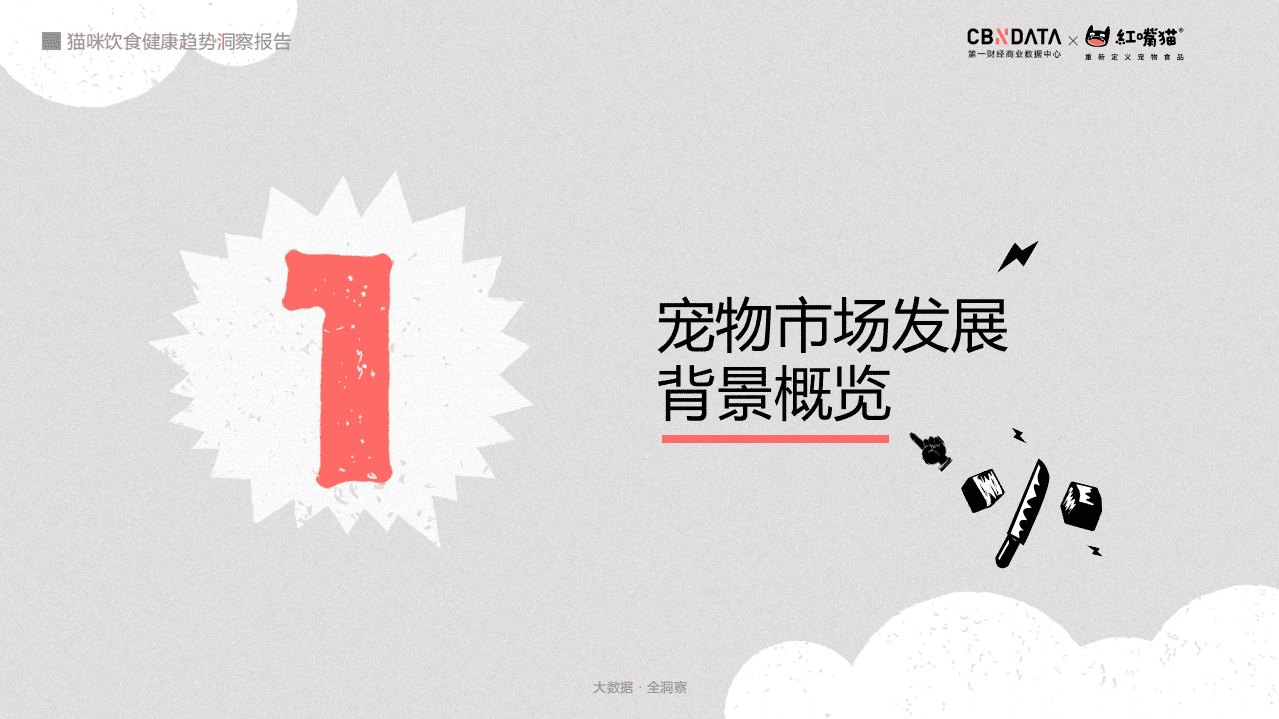 猫咪饮食健康趋势洞察报告.pdf 第3页