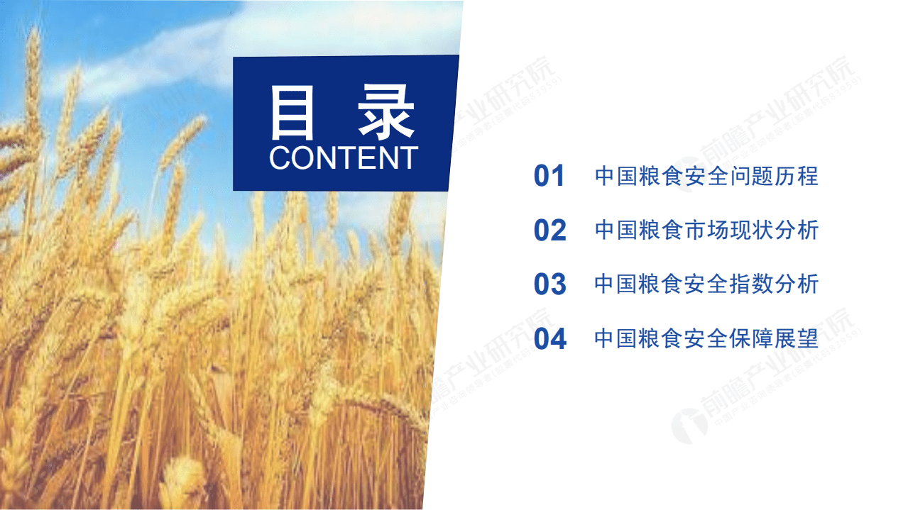 前瞻产业研究院：2020年中国粮食供需安全研究报告.pdf 第2页