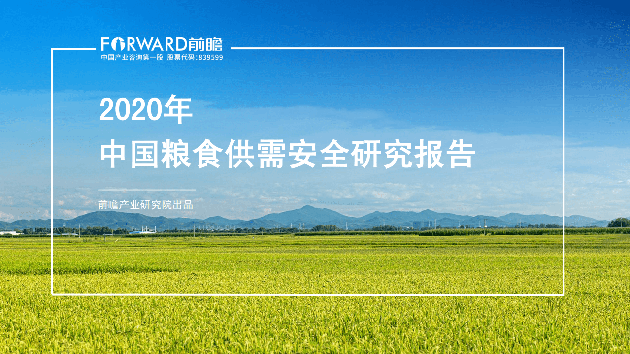 前瞻产业研究院：2020年中国粮食供需安全研究报告.pdf 第1页