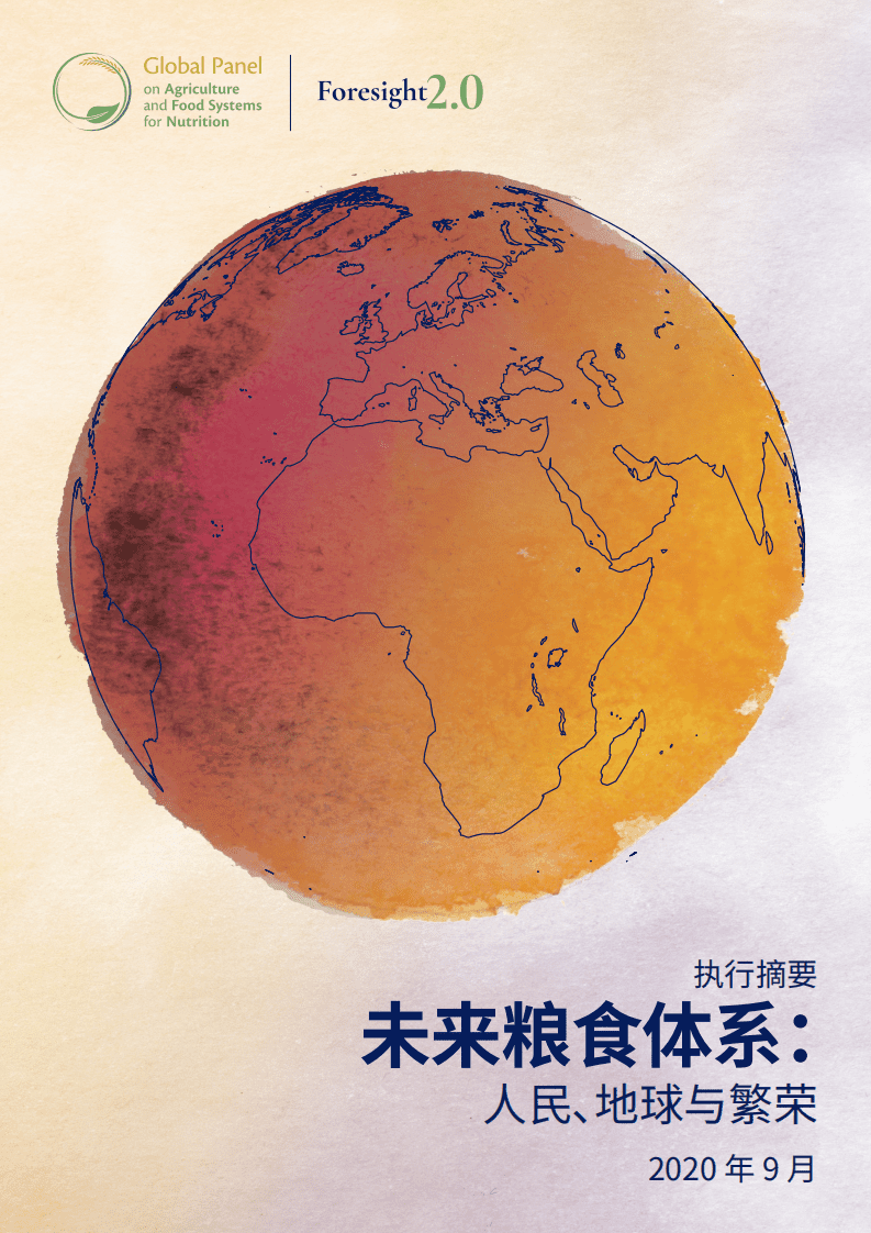 全球食物经济与政策研究院：未来粮食体系-人民、地球与繁荣.pdf 第1页