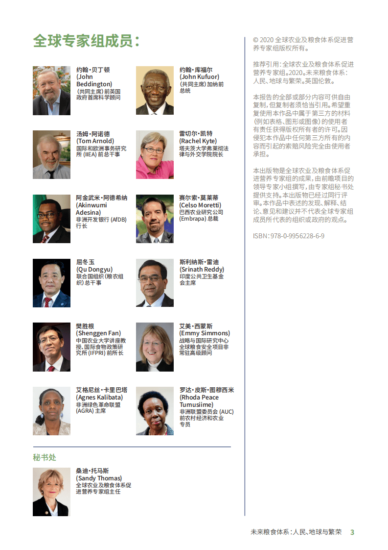 全球食物经济与政策研究院：未来粮食体系-人民、地球与繁荣.pdf 第3页