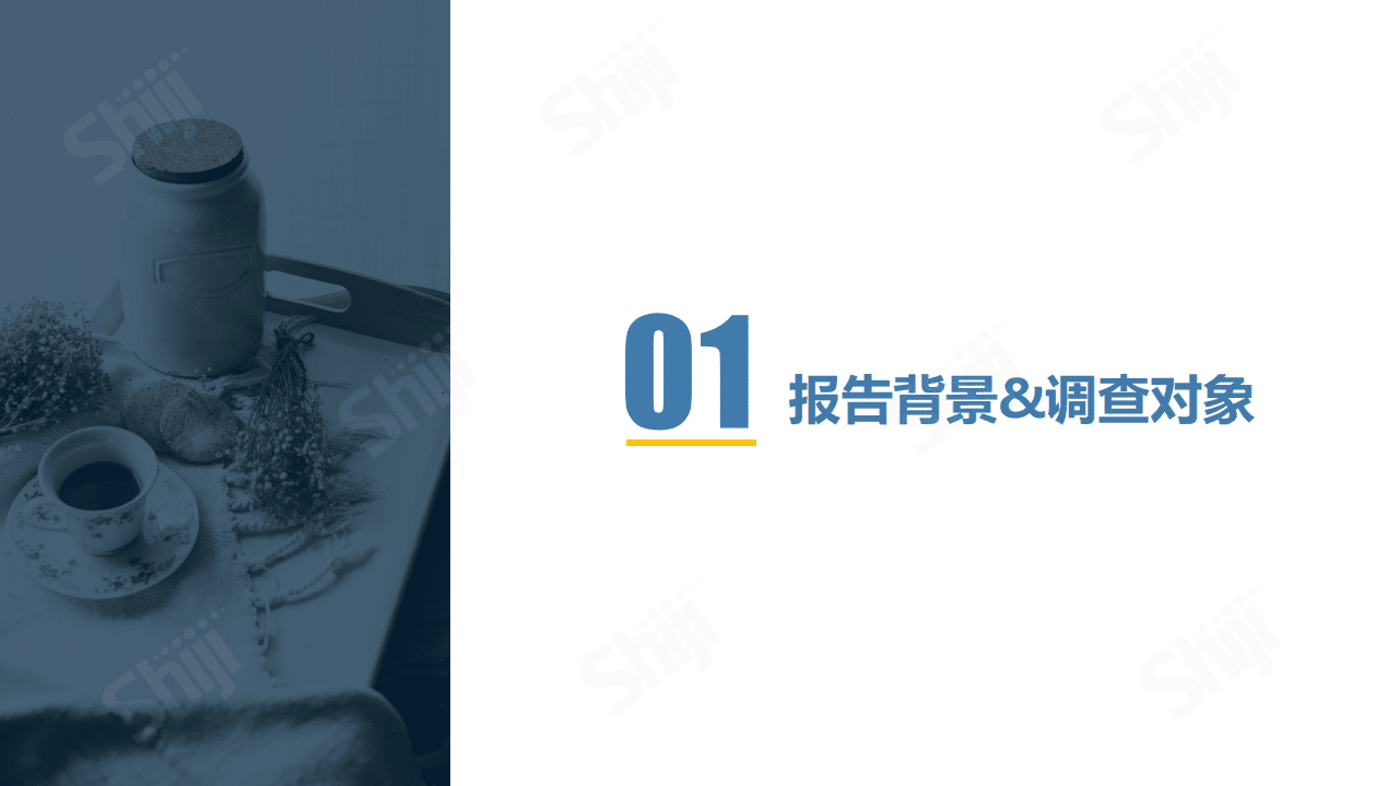 石基信息：2021年餐饮业技术研究报告-构建下一个新常态.pdf 第4页