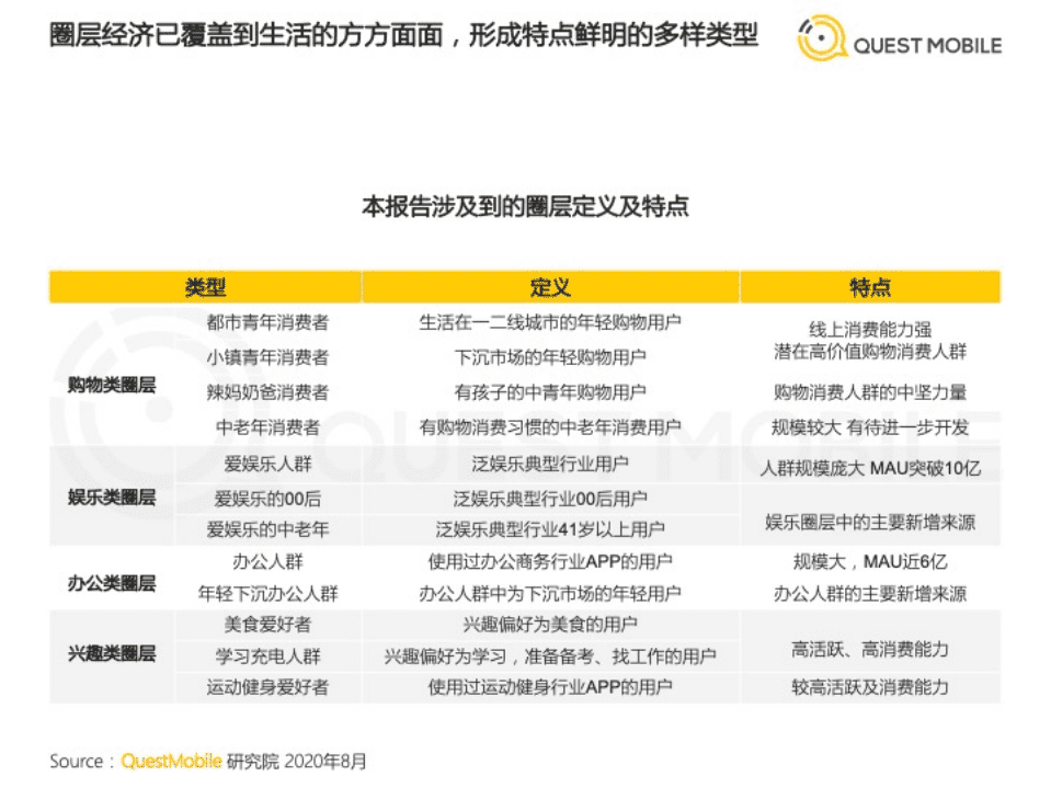 2020圈层经济洞察报告.pdf 第6页