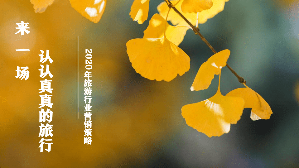 360智慧商业：2020年旅游行业营销策略.pdf 第1页